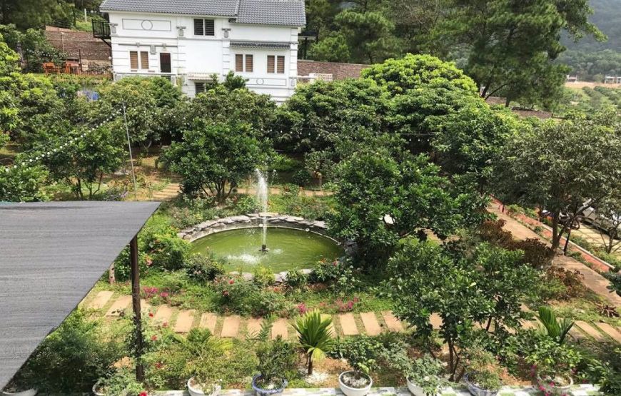 Ceeland - Garden Villa image 1