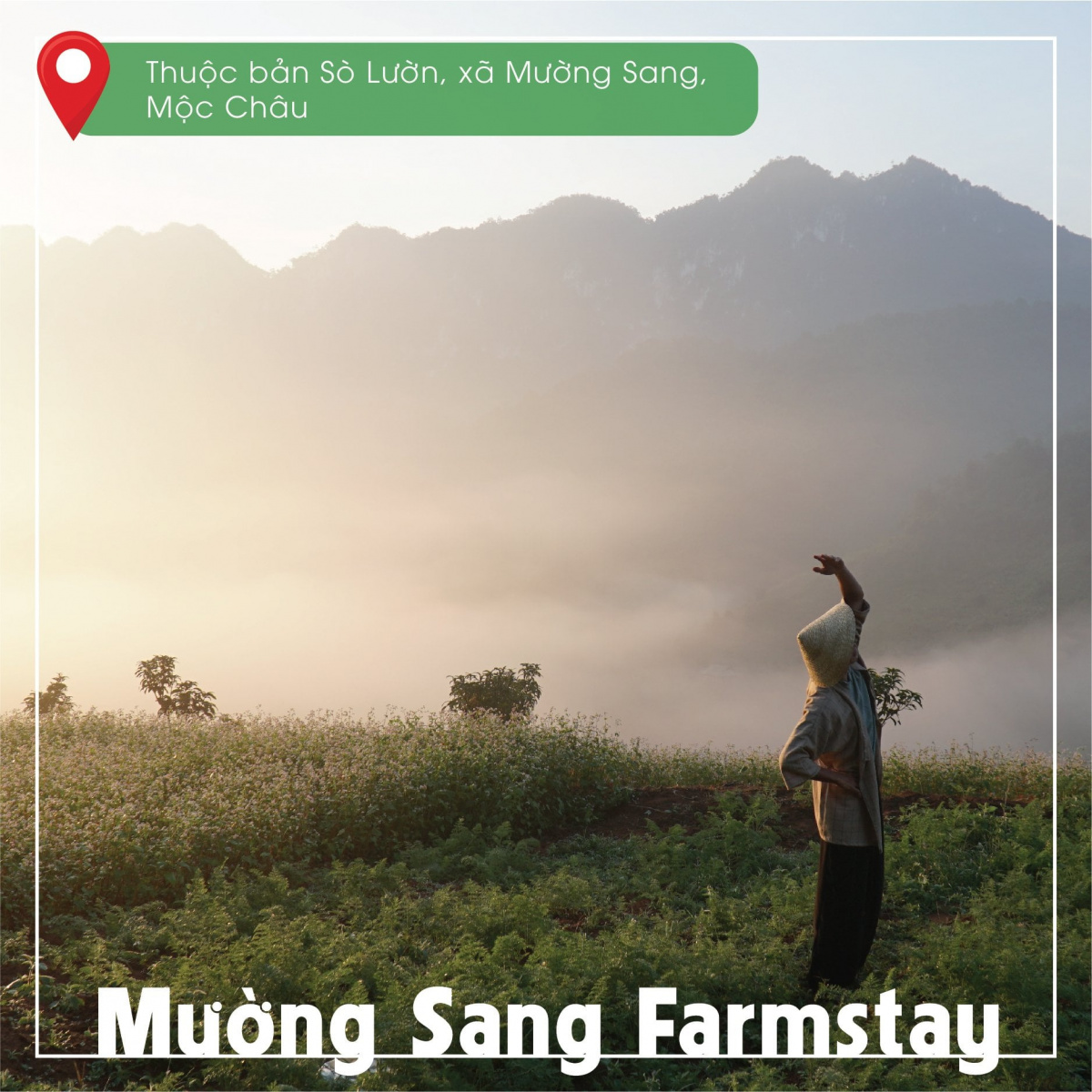 Khám phá Mộc Châu - một ngày tại Mường Sang FarmStay