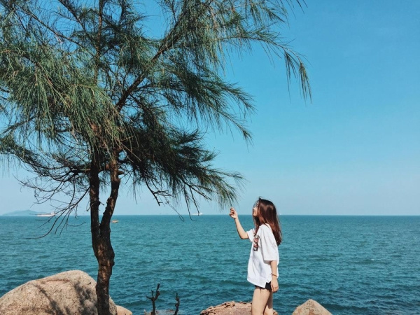 Những bãi biển ở Thanh Hóa view đẹp không nên bỏ lỡ mùa hè