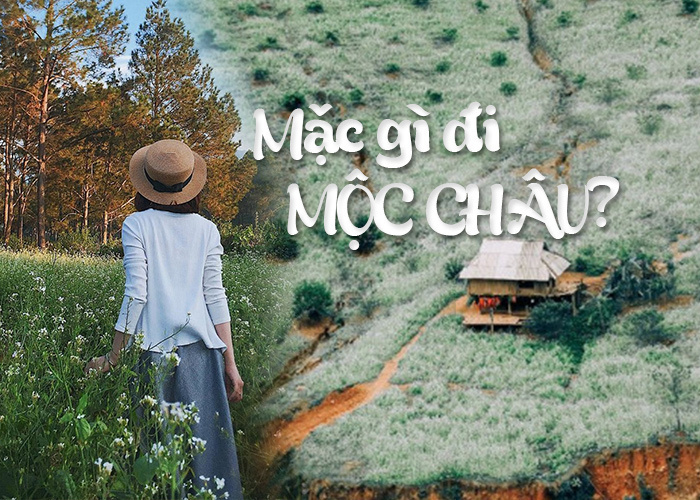 Đi Mộc Châu nên mặc gì? Du lịch Mộc Châu mặc gì theo mùa