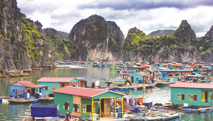 Làng chài Hạ Long hoang sơ cho người thích trải nghiệm