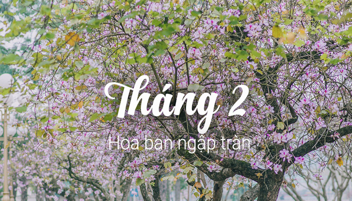 Kinh nghiệm du lịch Hà Nội tháng 2 tự túc từ A - Z