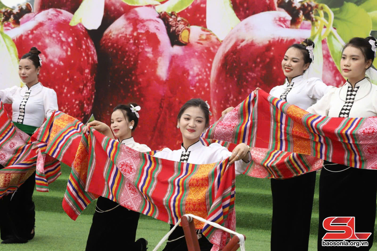 Tháng 5 rủ nhau lên Mộc Châu – Mùa mận gọi mời