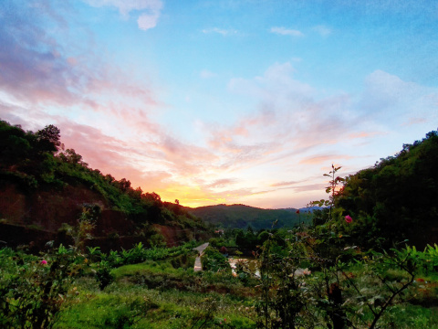 Happy Farm - Nông Trại Vui vẻ hình ảnh 21