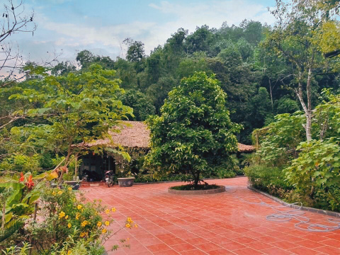 Happy Farm - Nông Trại Vui vẻ