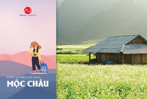 Kinh nghiệm du lịch Mộc Châu cho người đi lần đầu