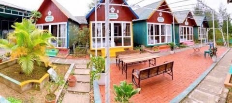 Hồng Vàn Homestay hình ảnh 8