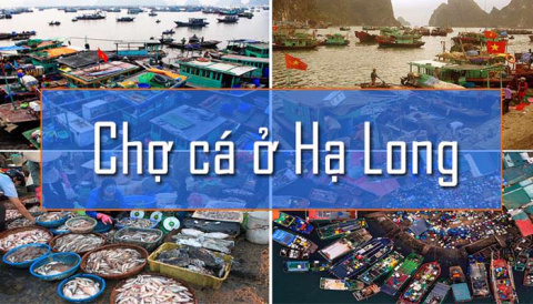 Chợ cá Hạ Long, điểm mua hải sản tươi ngon nhất Quảng Ninh