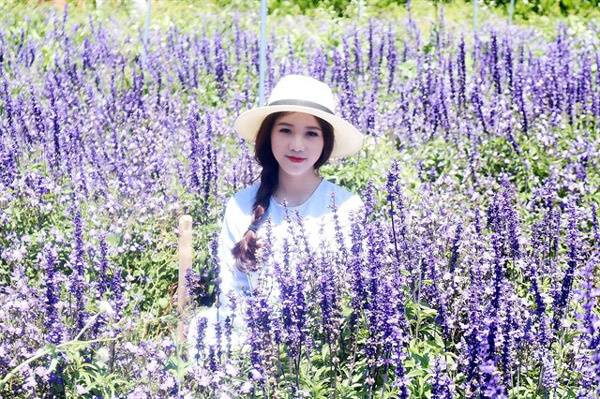 cánh đồng lavender đà lạt